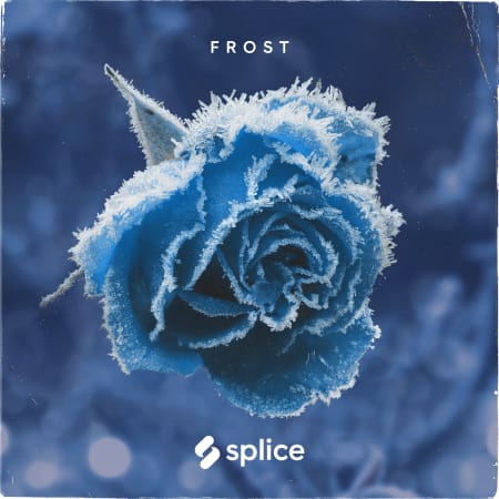 Frost February RnB WAV