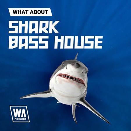 Shark Bass House WAV MIDI SERUM