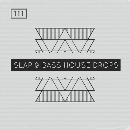 Slap and Bass House Drops DECiBEL