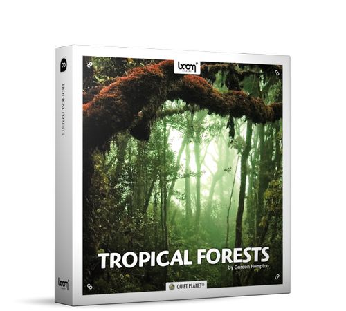 tropical forests surround edition wav