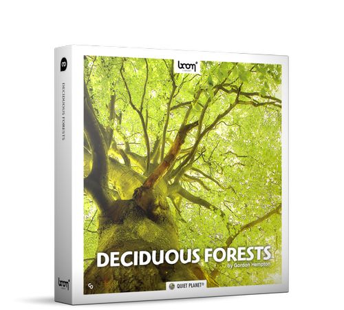 deciduous forests qp nature ambience sounds 768x691