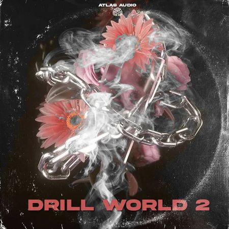 drill world 2 multiformat decibel