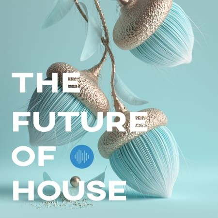 the future of house wav serum