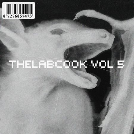 thelabcook drum kit vol. 5 wav fantastic