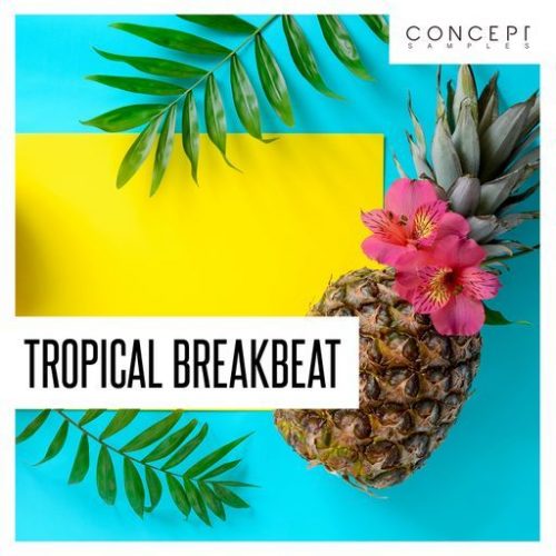 tropical breakbeat wav decibel