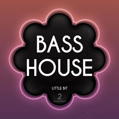 bass house 2 wav decibel