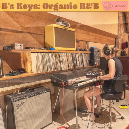 b's keys organic rnb wav fantastic