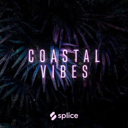 coastal vibes reggaeton wav fantastic