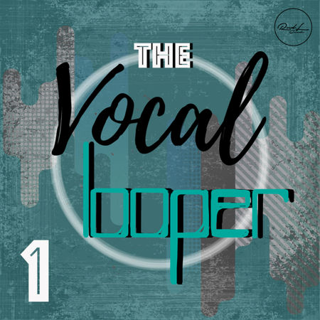 the vocal looper vol 1 wav decibel
