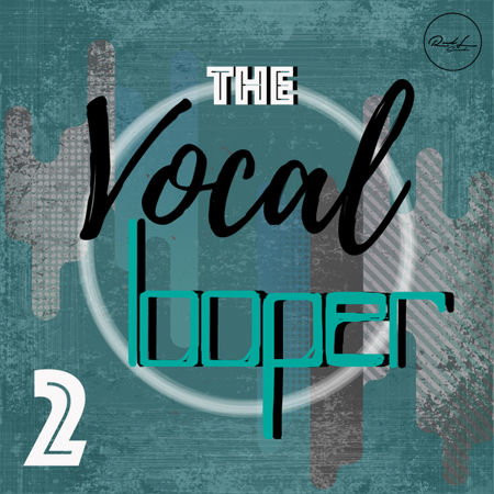 the vocal looper vol 2 wav decibel