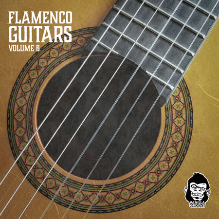 flamenco guitars vol 6 wav decibel