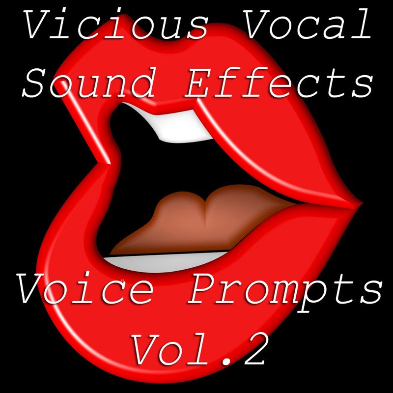 Vicious Vocal Sound Effects 11 (Voice Prompts Vol.2) WAV Magesy