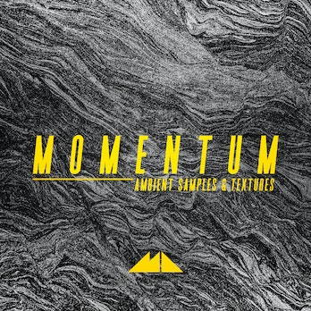 momentum 1656095621