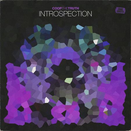 CoopTheTruth-Introspection_OneShots_1024x1024