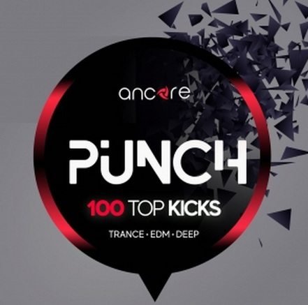 PUNCH 100 Top Kicks WAV-DISCOVER