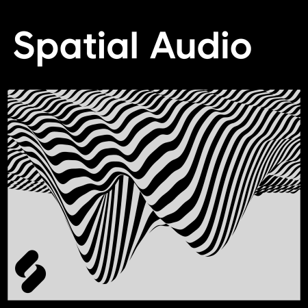 Spatial Audio WAV-FLARE
